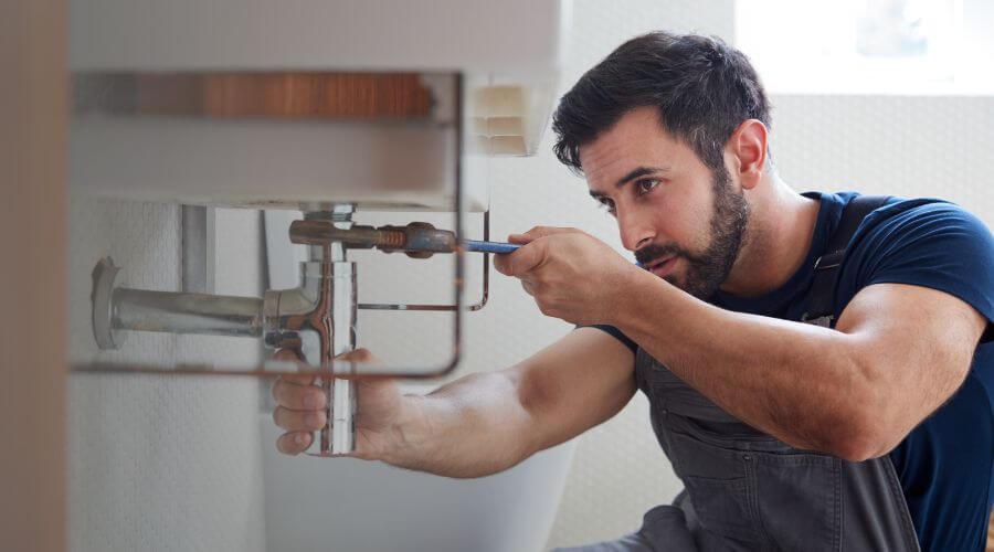 Trap Repair/Replacement in La Fayette, IL